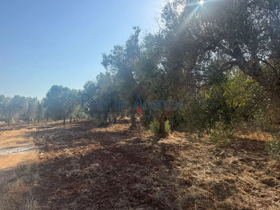 Farm hus i San Vito dei Normanni, Brindisi - foto 4